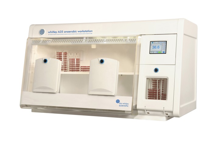 Rest Assured That Your Anaerobic Workstation is at Zero Oxygen