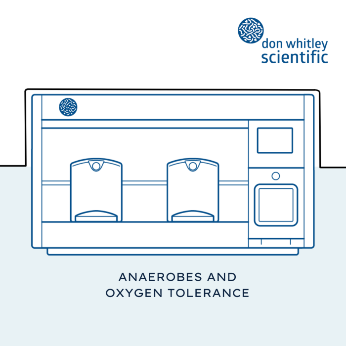 Anaerobes and oxygen tolerance