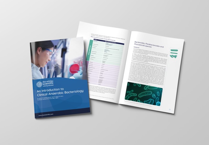 Introduction to Clinical Anaerobic Bacteriology - Bench edition