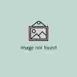 DWS Service Engineer with Customer